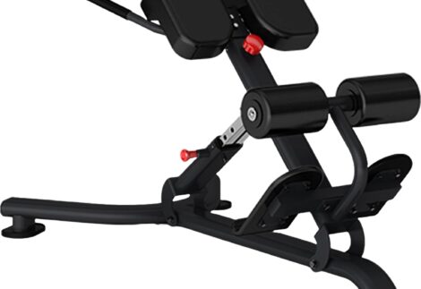 Insight Fitness  Back Extension