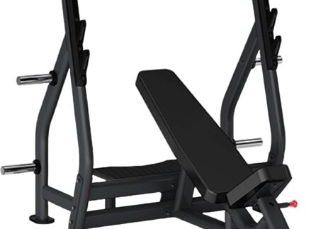 Insight Fitness  Incline Olympic Bench