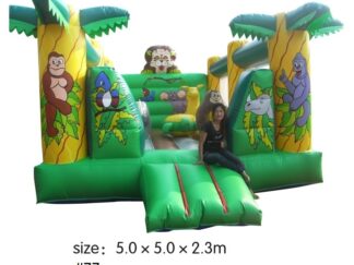 Large Square Outdoor & Indoor Bouncy Castle - Inflatable Playground - Size: 5×5×2.3 m