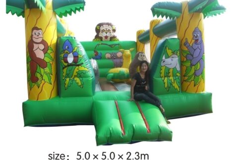 Large Square Outdoor & Indoor Bouncy Castle - Inflatable Playground - Size: 5×5×2.3 m